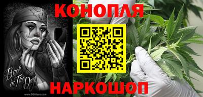 стаф Моздок