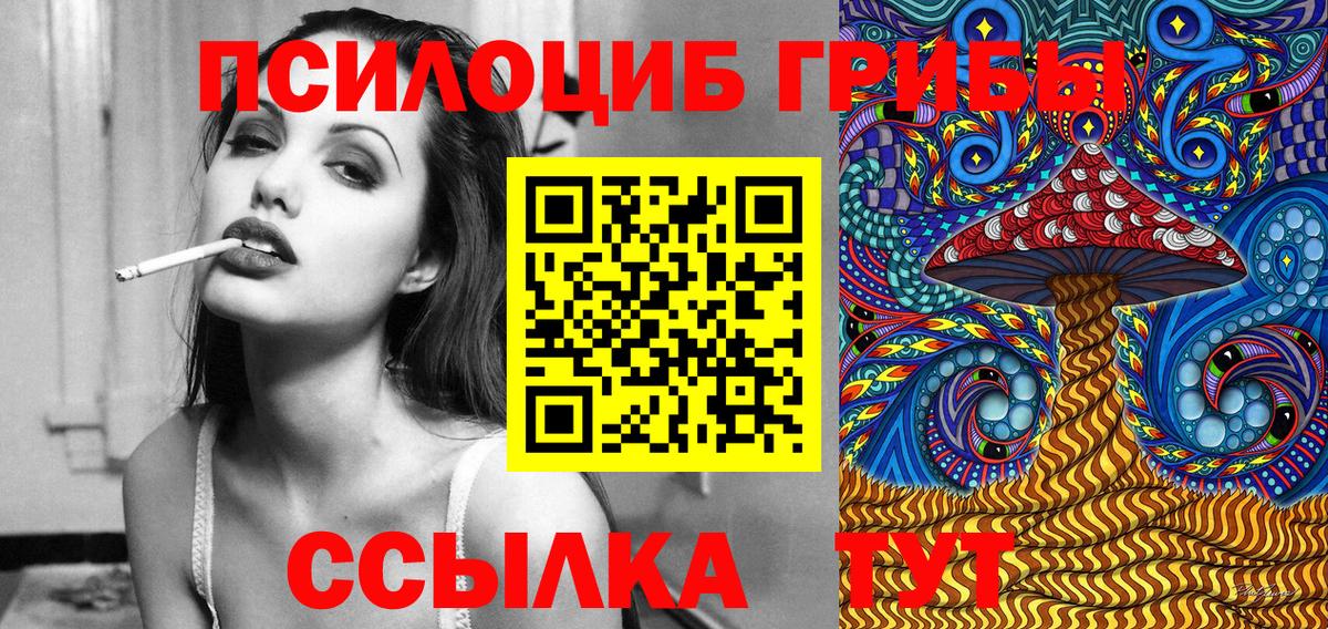 Черногорск  Псилоцибиновые грибы прущие грибы  Вход с VPN 