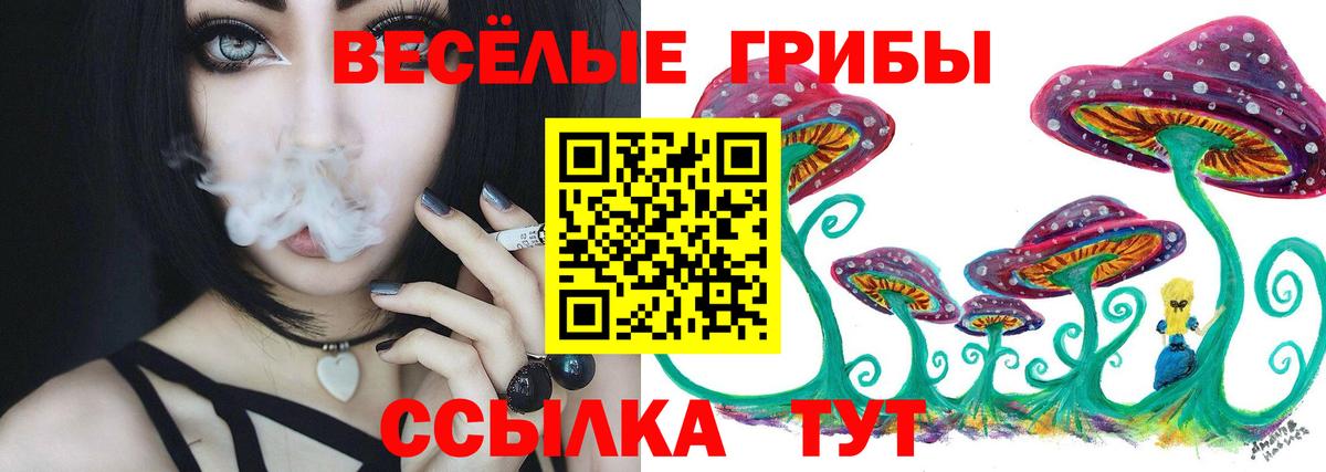 Галлюциногенные грибы GOLDEN TEACHER Черногорск